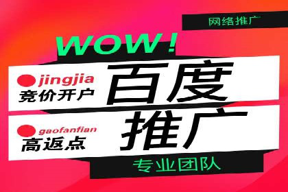 某公司SEM代理策略：实现流量转化